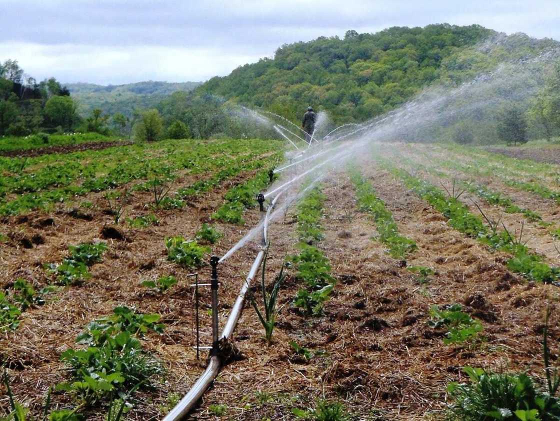 Irrigation Systems